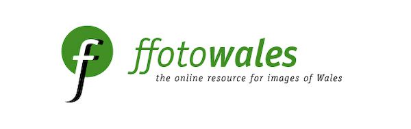 Logo Design — image 4